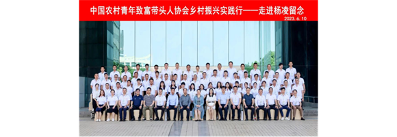 沙漠玉米——聚焦农业现代化 助力乡村振兴的最美诠解